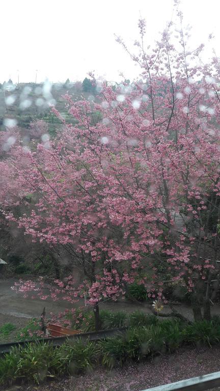 Qing Jing Xiao Taiyang Jingguan Homestay Ren'ai Exterior foto
