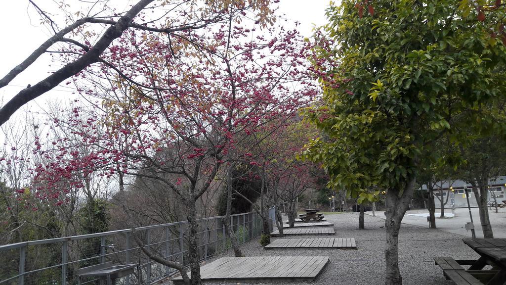 Qing Jing Xiao Taiyang Jingguan Homestay Ren'ai Exterior foto