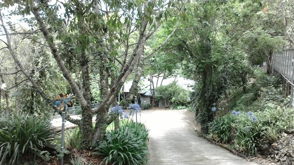 Qing Jing Xiao Taiyang Jingguan Homestay Ren'ai Exterior foto